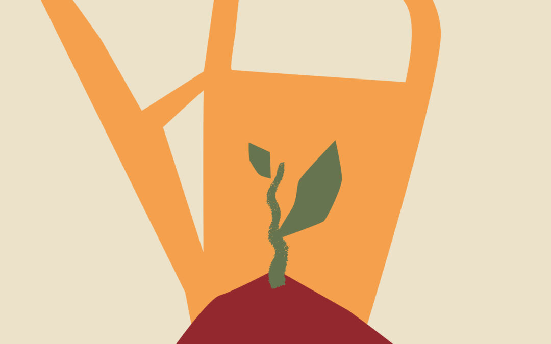 Planta och vattenkanna